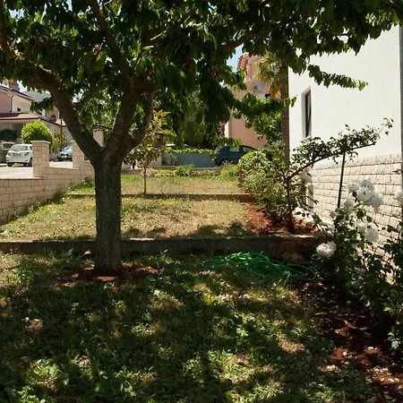 דירה David's Place